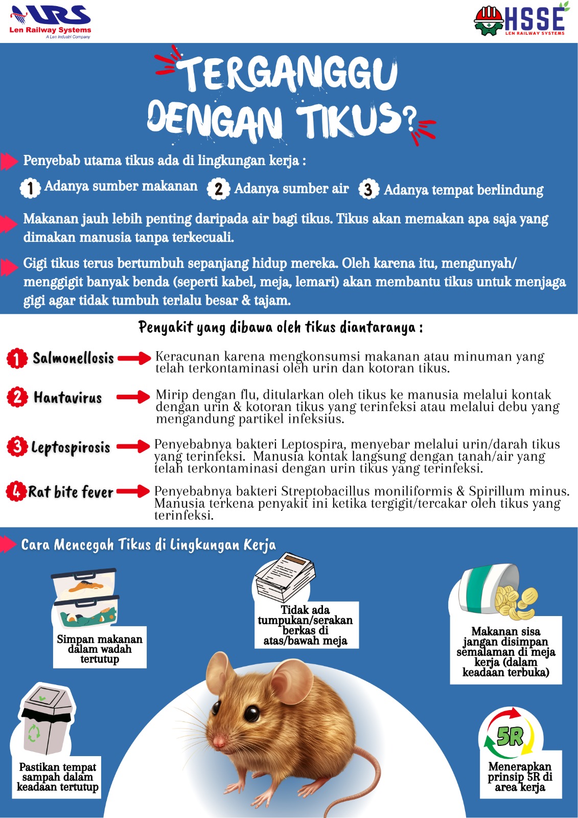 Menjaga Kebersihan dari Tikus